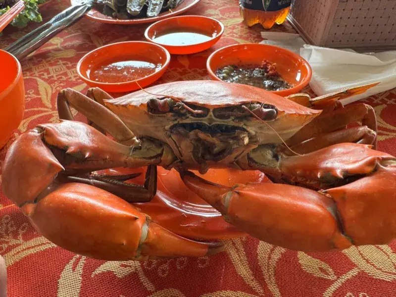 ベトナムの暮らし